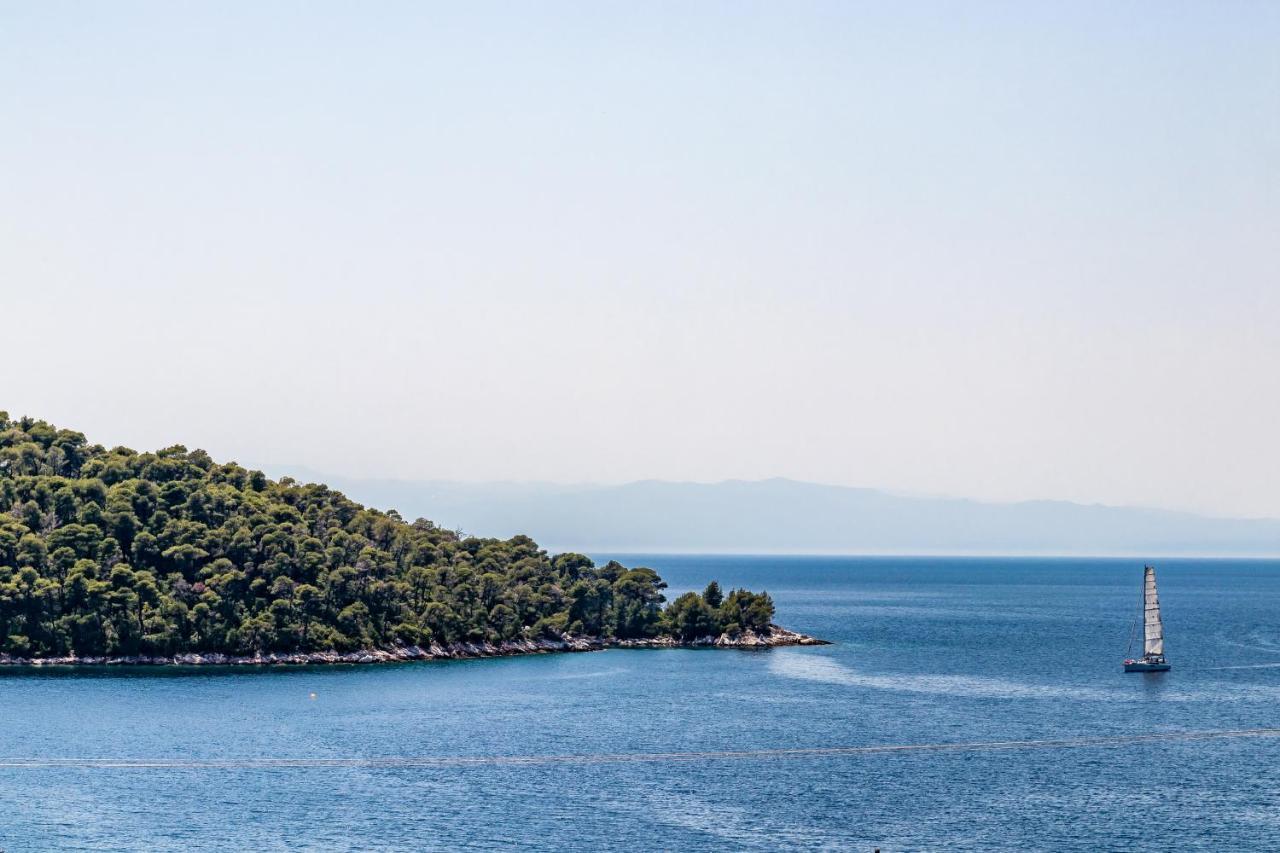Panormos Beach Hotel Skopelos Zewnętrze zdjęcie